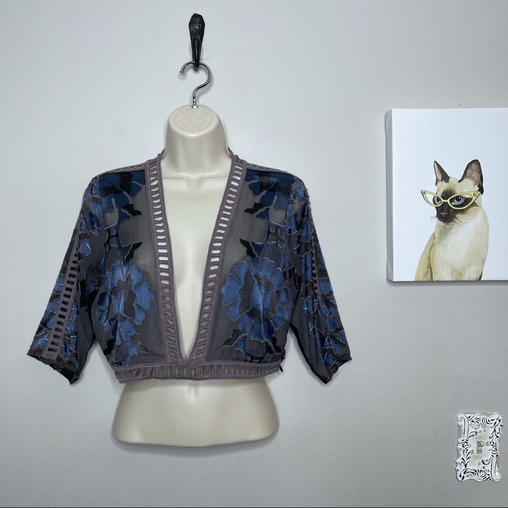 For Love & Lemons Sheer Blue Floral Crop Top M